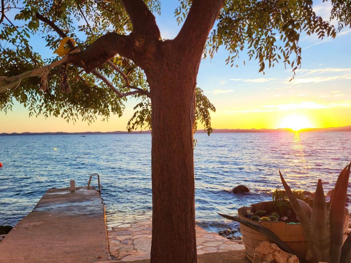 Old Fisherman'S House - Apartment Sonja Banj エクステリア 写真